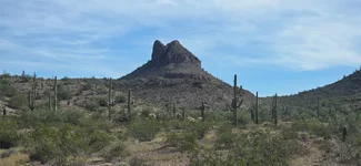 Dog Head Mt.webp